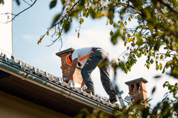 Best Storm Damage Roof Repair  in Osceola, WI