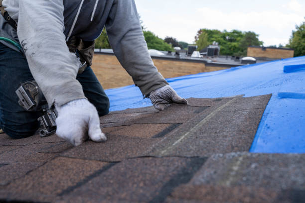 Best New Roof Installation  in Osceola, WI
