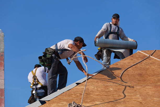 Best Roof Maintenance Services  in Osceola, WI