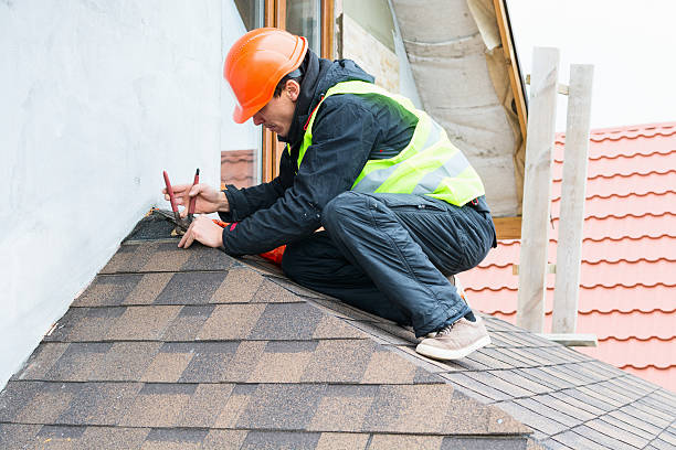 Best Flat Roof Repair Services  in Osceola, WI