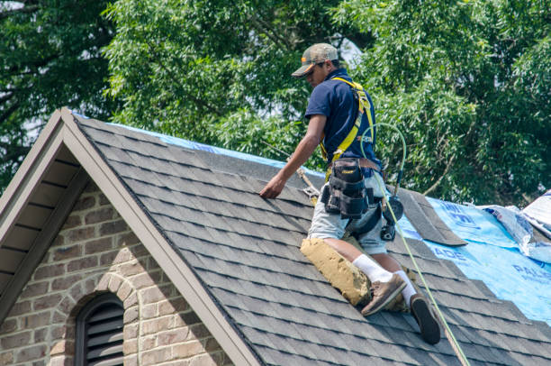 Best Best Roofing Contractors  in Osceola, WI